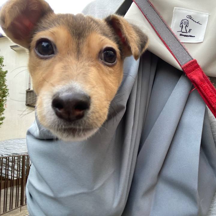 1f790450 86a2 4e9c 9987 374053fca13b 1743826111945