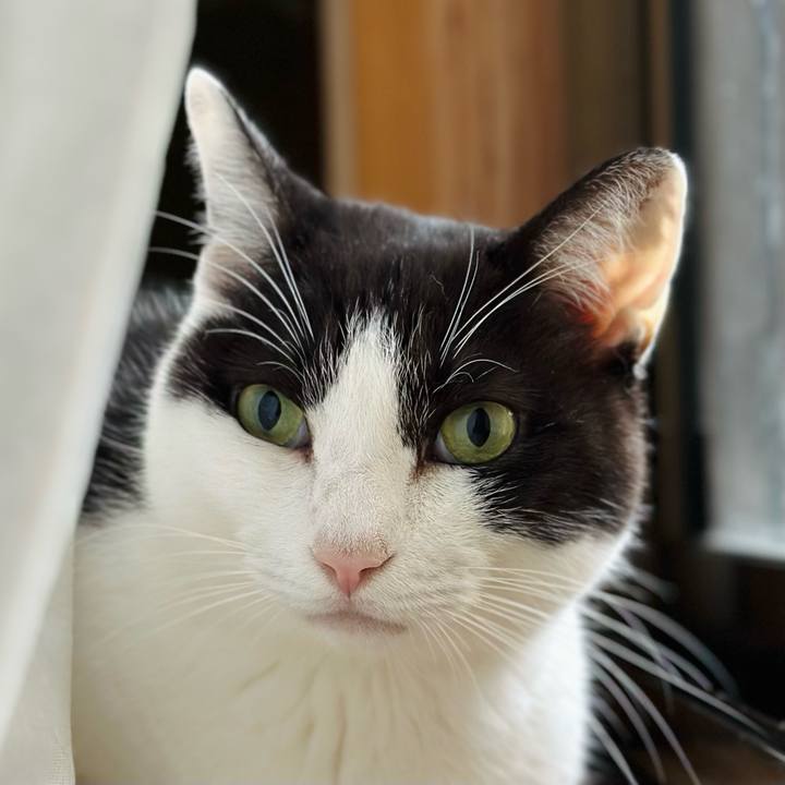 1f7905dd 0829 4773 8c5a 7a84917e264e 1669079904822