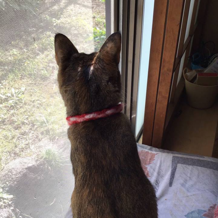 1f79af4d 8051 41ed 8230 904abd82d5f9 1634272960010