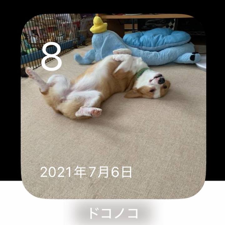 1f79d6d4 1f33 4a8c ab65 fba186db9277 1751952594864