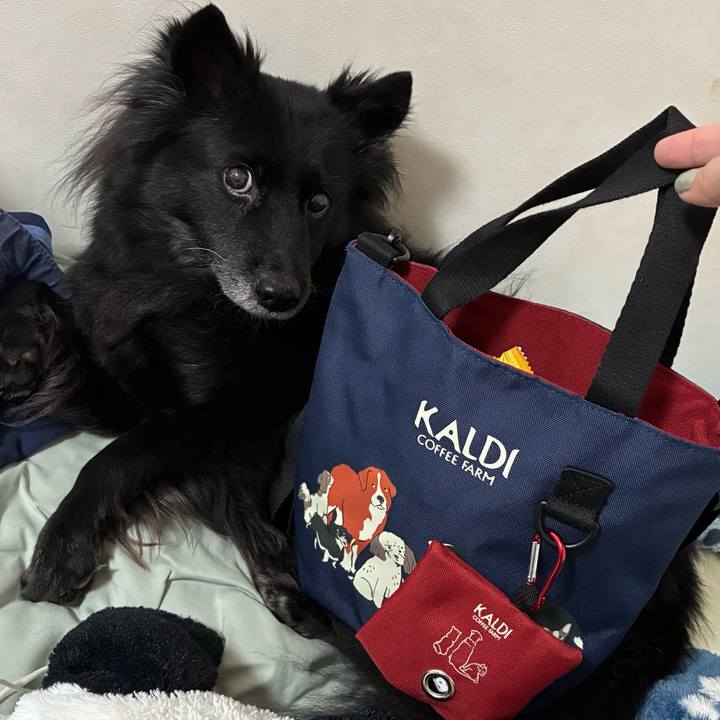 1f79de00 274b 446d a2bc 12494fff3439 1762064049838