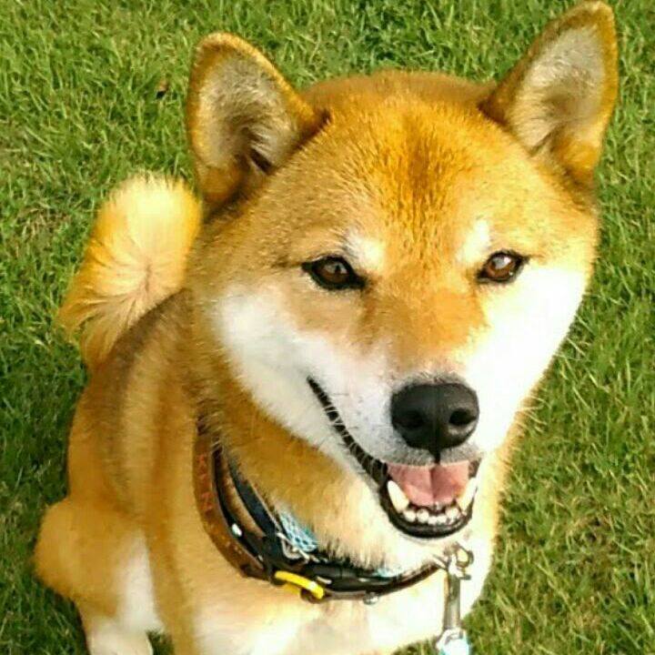 1f79f5cf d490 4fee a130 f6e86c59e914 1575544914347