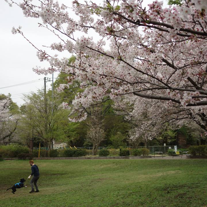 1f79fb8c 75ac 44a6 a79c ea70a0237b16 1617065903604