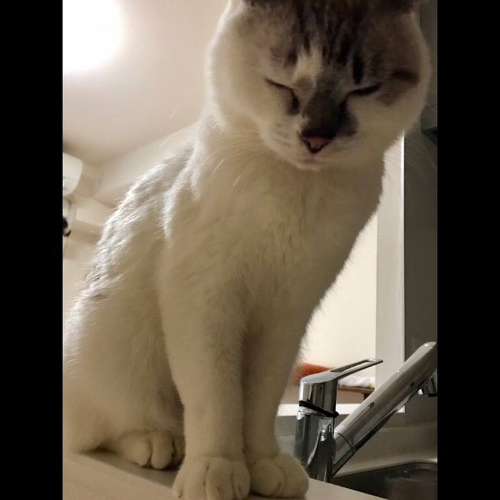 1f7a2c99 aa51 4819 b2dd 4d52b1228478 1518127669191