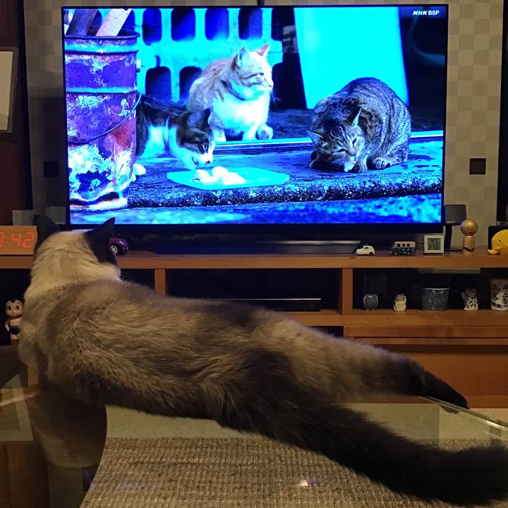 1f7a39db 6eca 4ec6 8889 b19ae024e610 1628250632587