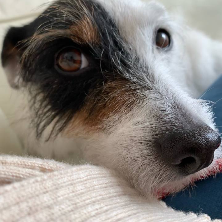 1f7a8fc1 f506 4249 b326 cc8cc9b8af78 1619668771800