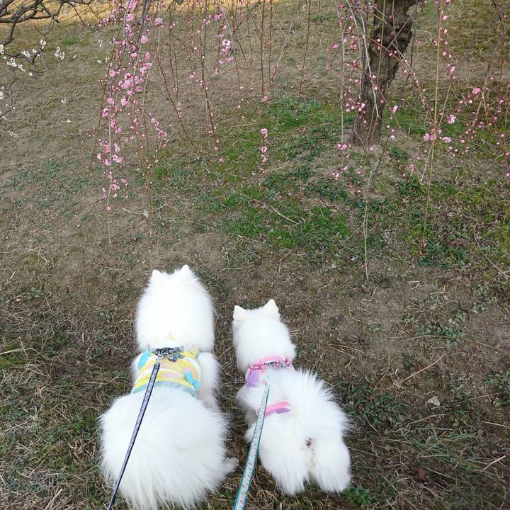 1f7a9716 f08f 490b 976d c256a7c01145 1613806156566