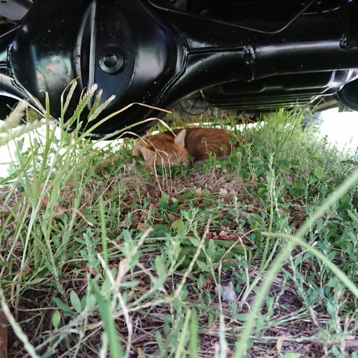 1f7aa189 bfb3 4a7b 83c1 07d56216c005 1565920432296