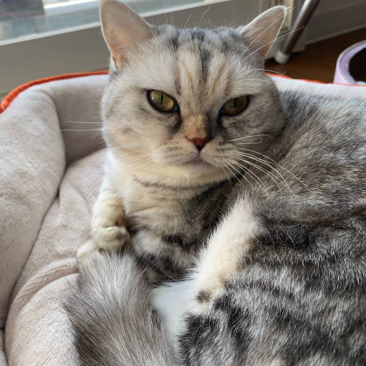 1f7ad053 59d2 44d5 aa19 ed3579de5ec4 1765001430696