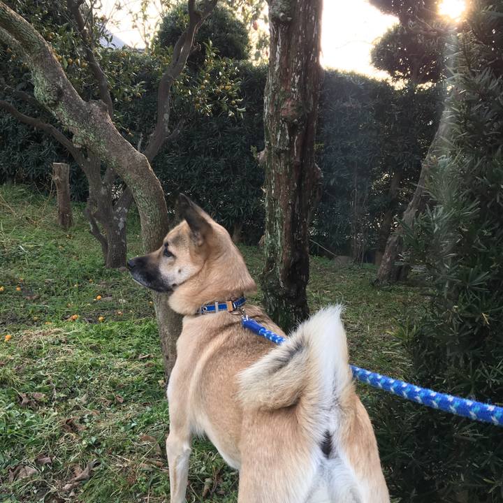 1f7af654 5199 4d8c 9eee 21552c54db54 1517404116997