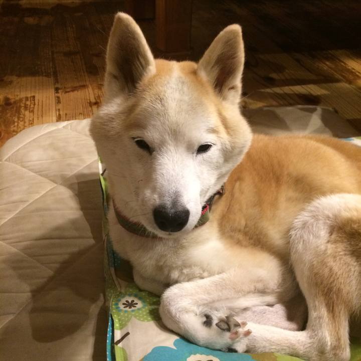 1f7af6f7 3d21 48f2 8efc 4b9e46c75263 1569855029562