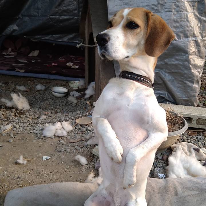 1f7b1653 269b 4c96 9978 85341b10f7fa 1640234629786