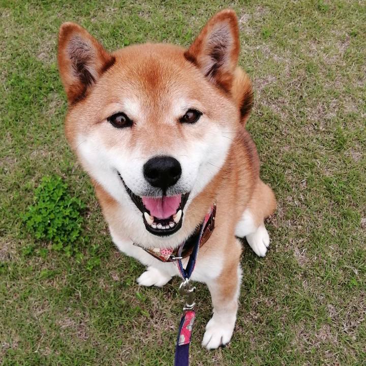 1f7b38e8 9656 4dc4 8d30 1692bdaa7a87 1621146906675