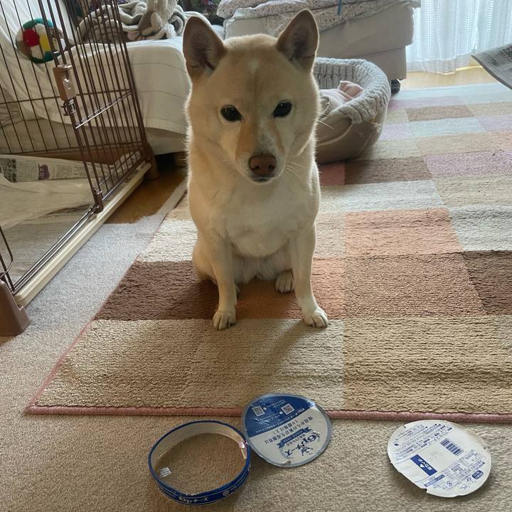 1f7b64c0 ce23 49d0 82bc 76100372601d 1673223164136