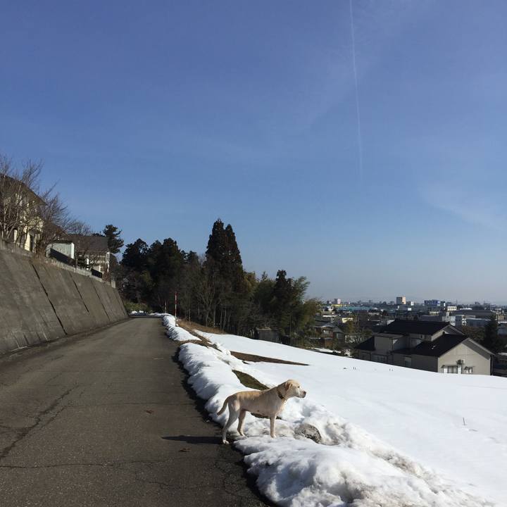 1f7b8592 9063 4d64 9e69 3a9f5d95c28d 1547813169528