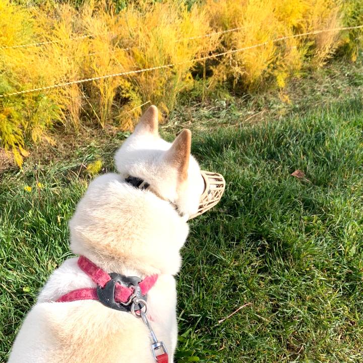 1f7c009d fea4 4dd7 9ca1 d5546b7e0115 1572492015962