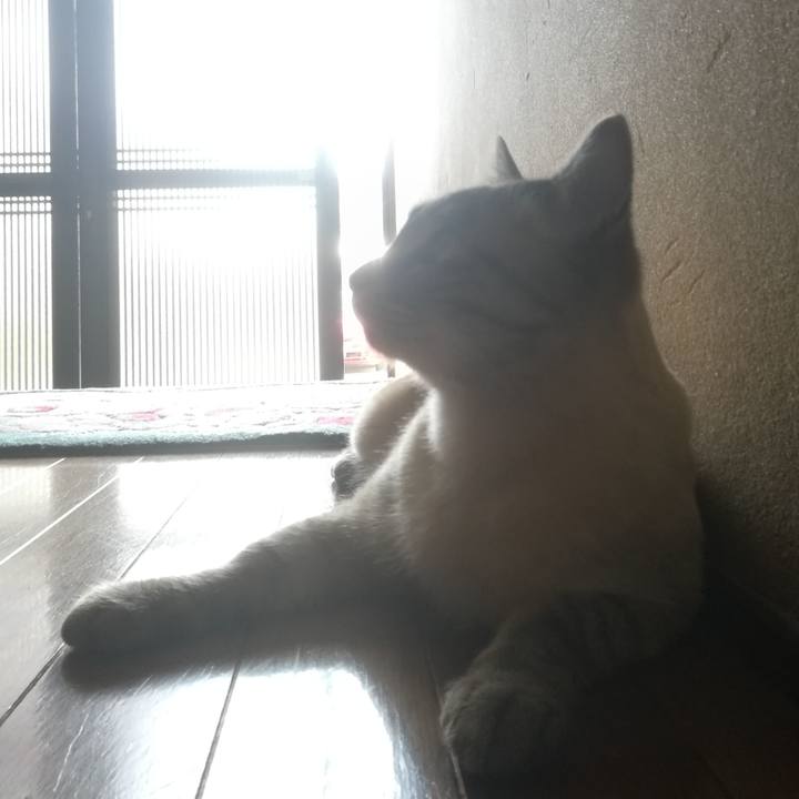 1f7c0ae3 1a4a 48f4 83ea 9d74ca6f0431 1522387117612