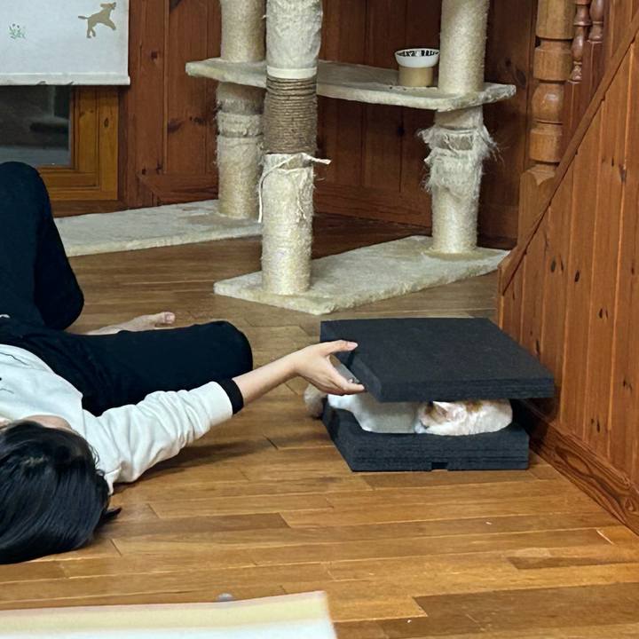 1f7c2ef1 3ca7 4ece 9f99 3967d30c47ca 1675422987100