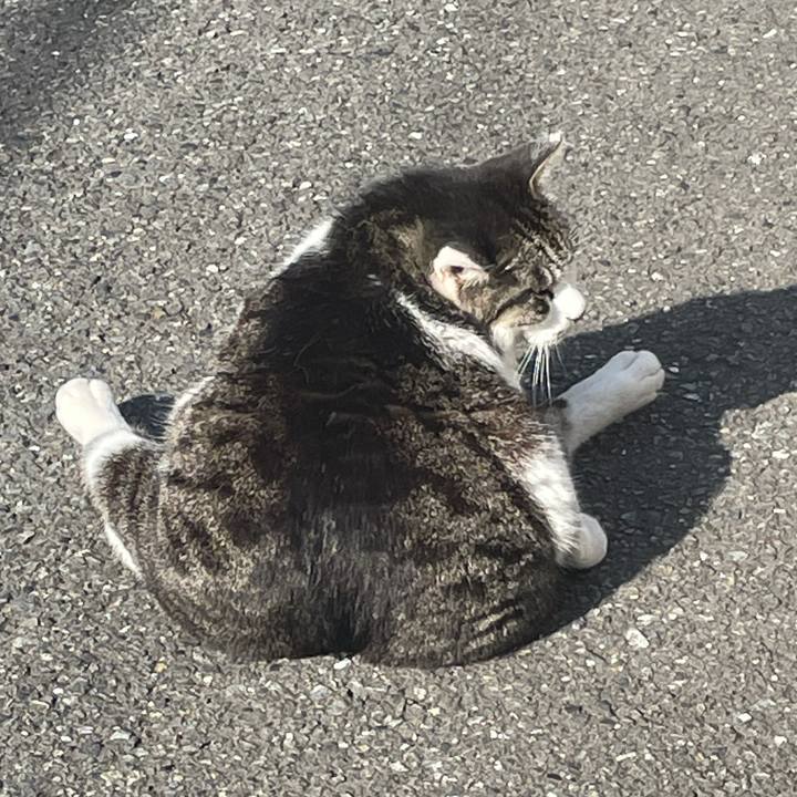 1f7c7d5c dc51 4d18 a813 446af10f8d6f 1619829052107