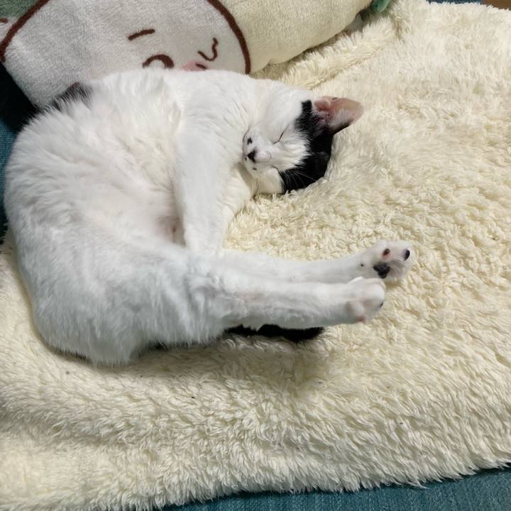 1f7c7d9d 09b4 4acb be55 a48fc724ed0a 1762862360907