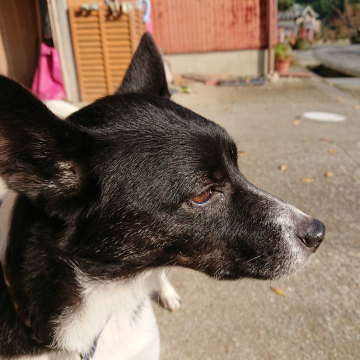 1f7c8c90 02f3 49b2 9f4b a044eb2edbfd 1510187060460