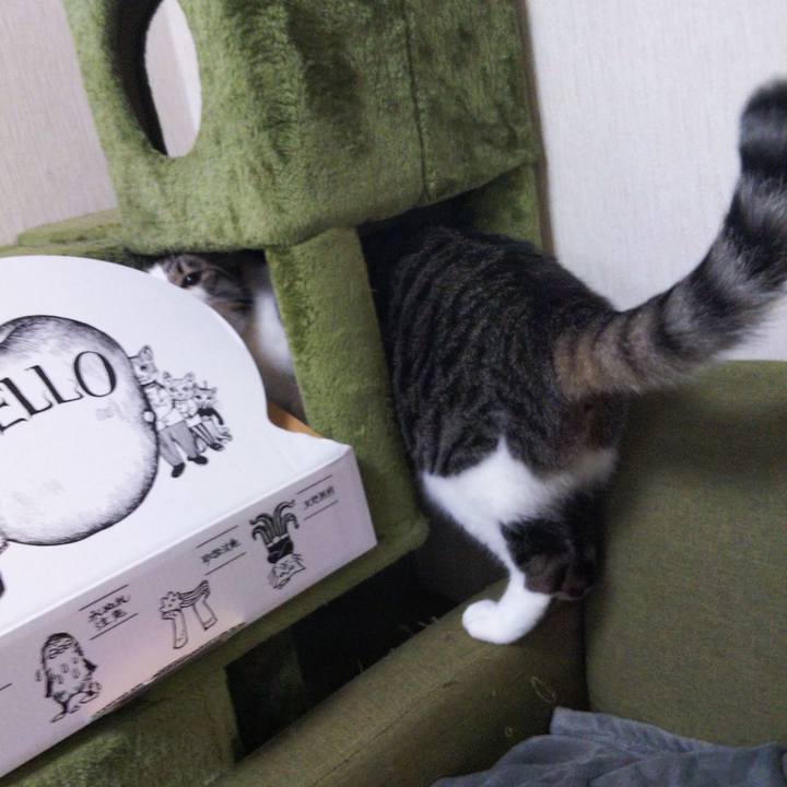 1f7c8f57 b05b 466e ac80 98c2d73187d4 1654436115340