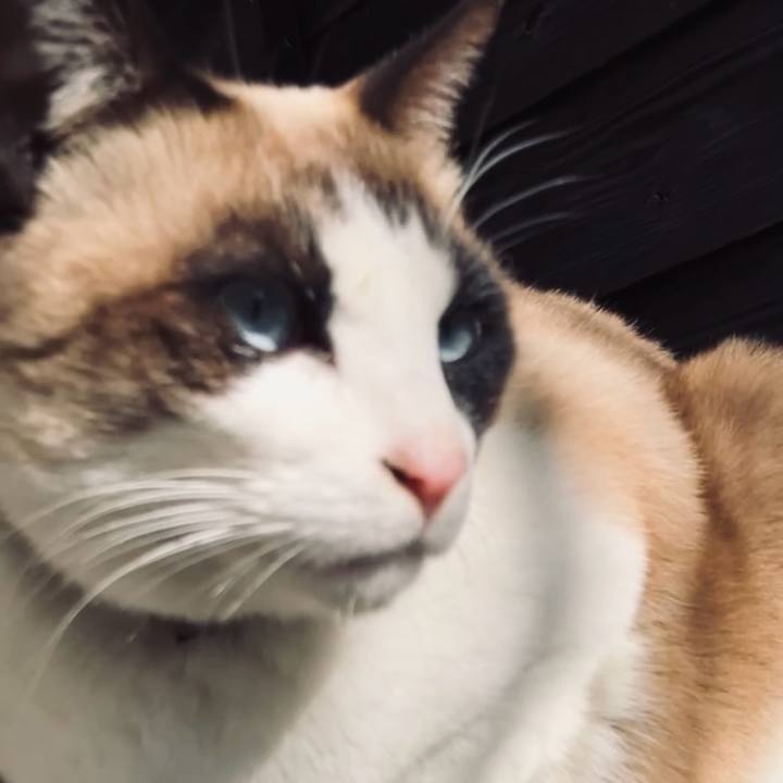 1f7c9055 9160 48f5 bd7d ff911a1895b0 1739933248708