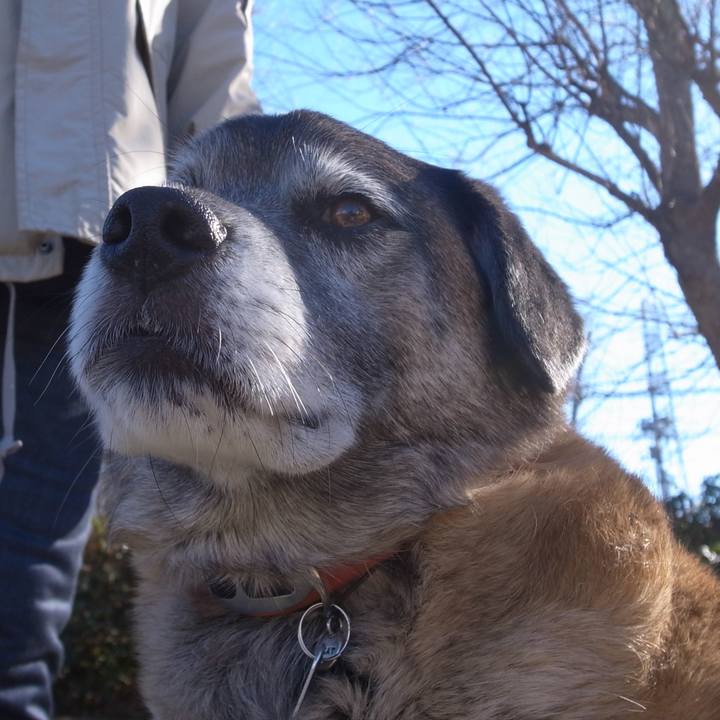 1f7ca5ba 5cc1 4979 b694 4aa91d5df5c2 1597794989725