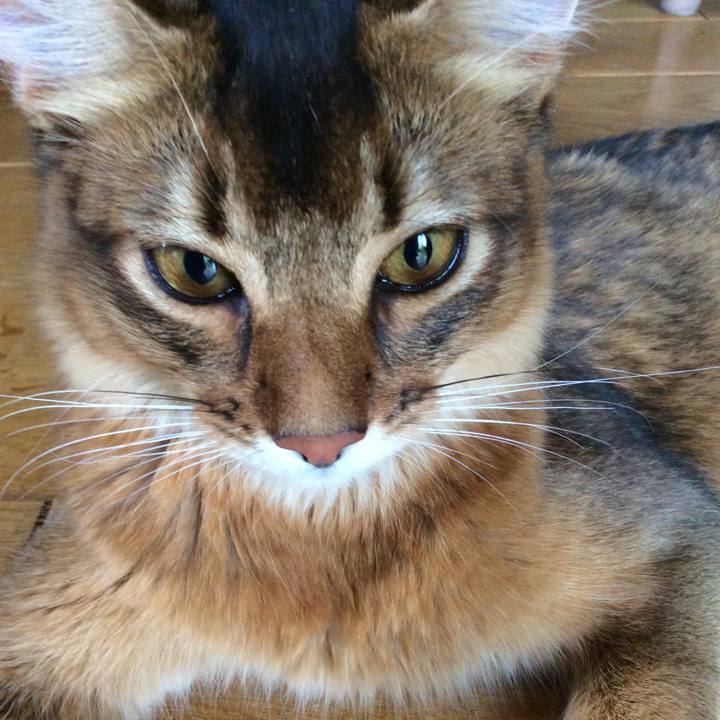 1f7cc7f9 74dc 4175 9ac1 bb2758df5934 1565559408971