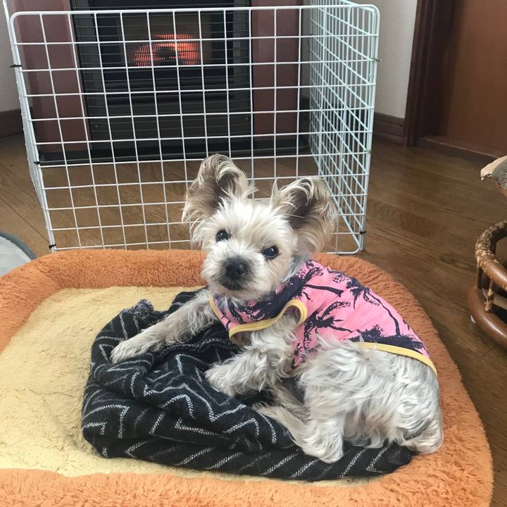 1f7ccf7d 9f28 455c 84b6 b2db16211ae4 1575101124082