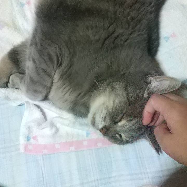 1f7cd9c4 1094 4704 b540 0050fbfac78b 1654609475895