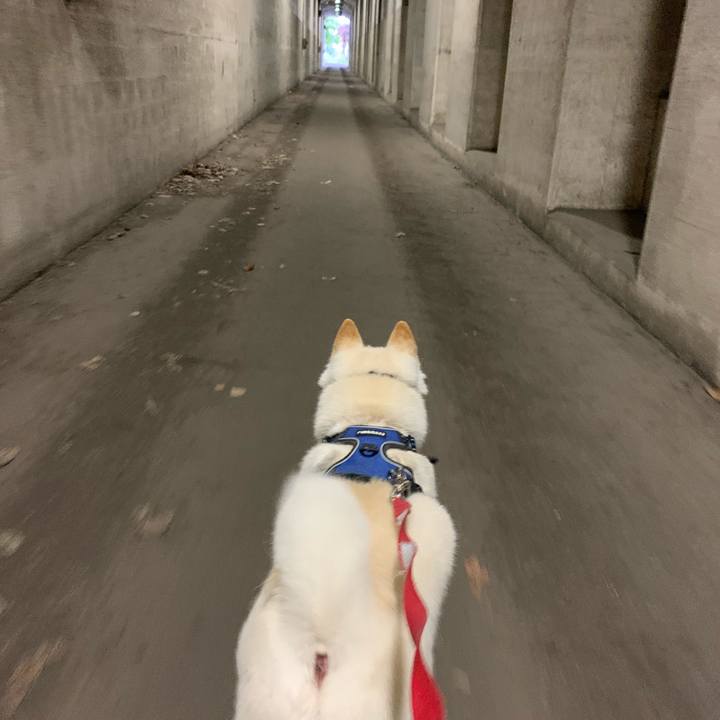 1f7d19cc f468 47f6 b3ed 0820f0132ddb 1623704065692