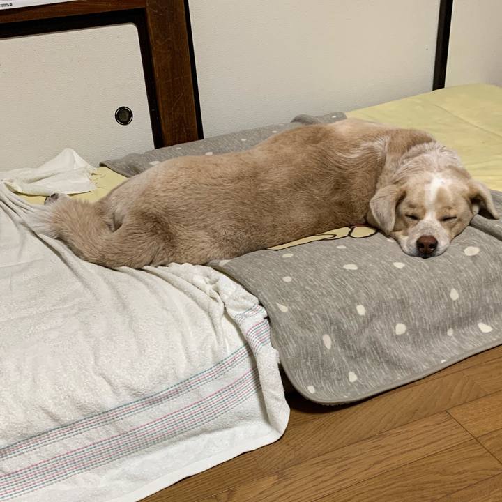 1f7d5b68 4b92 40b4 8dff 8338962d3251 1546263021253