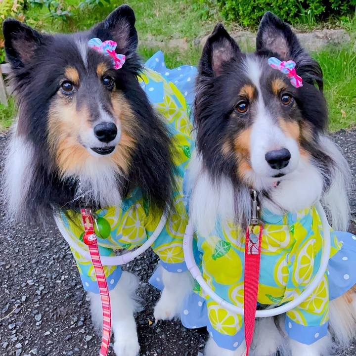 1f7d7758 3137 44ee ac99 b7c13ce1e59d 1725897300385