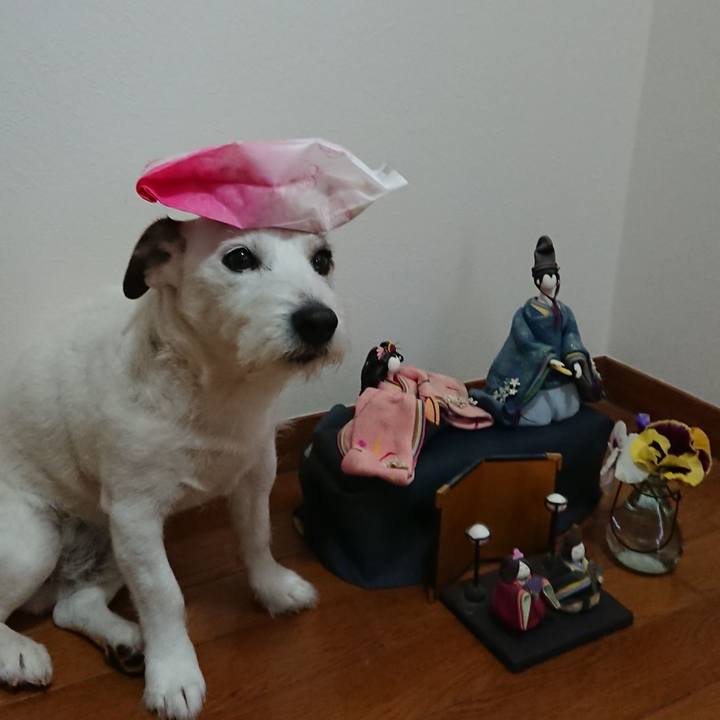 1f7da757 6a7a 473f 9188 10ed390f99ae 1519859384316