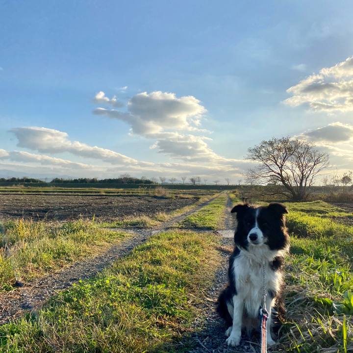 1f7dab7d a8d8 4a7b a810 8abce649e551 1605916085479