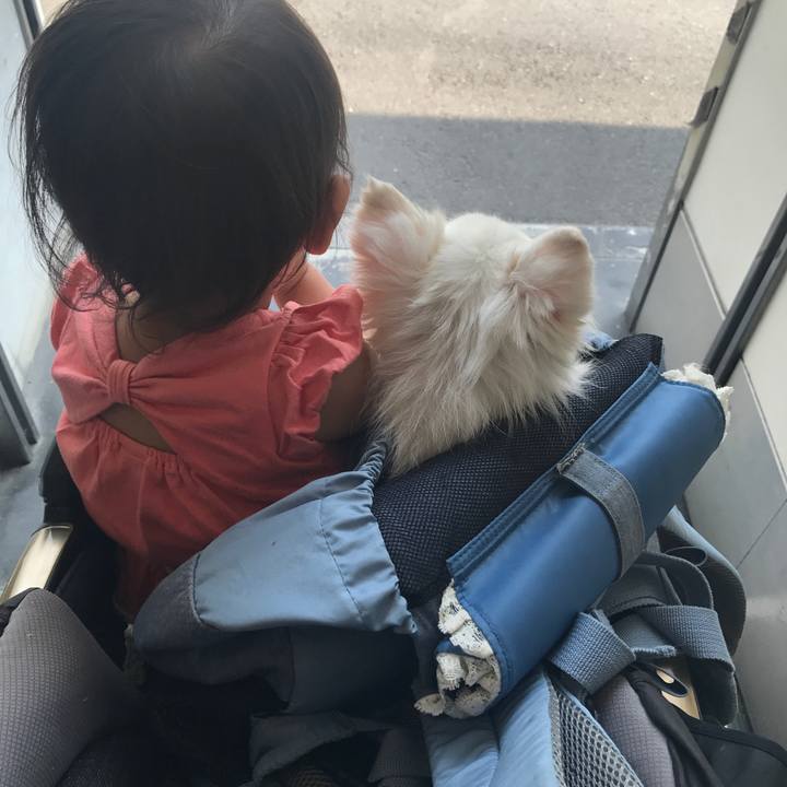 1f7e0d8c bd44 4560 bc92 fe97c48d97a6 1559806492730