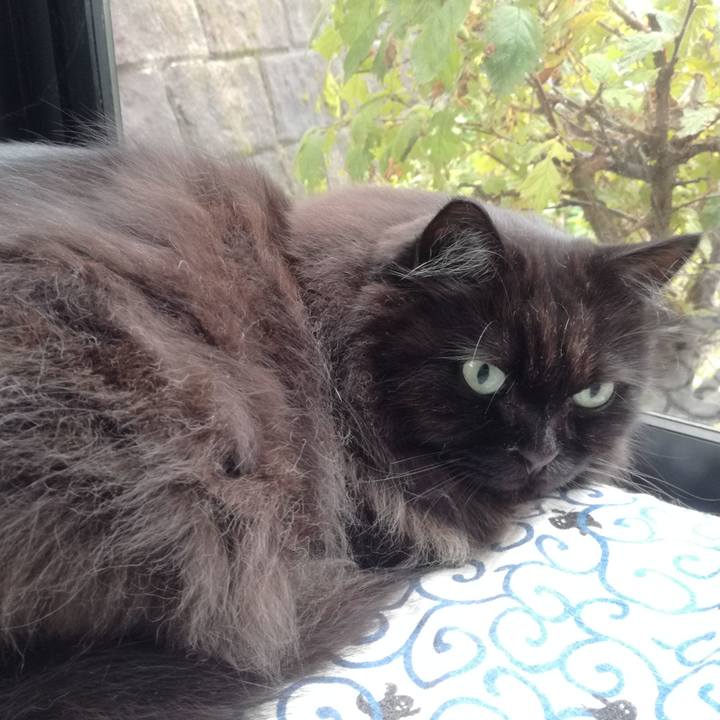 1f7e1850 07e3 41b7 97e2 f434627ada1a 1508024521970