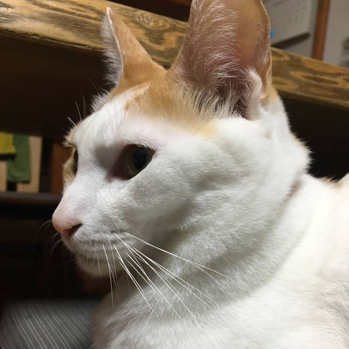 1f7e27ab 0636 4662 88bf d9006006dac5 1516804256916