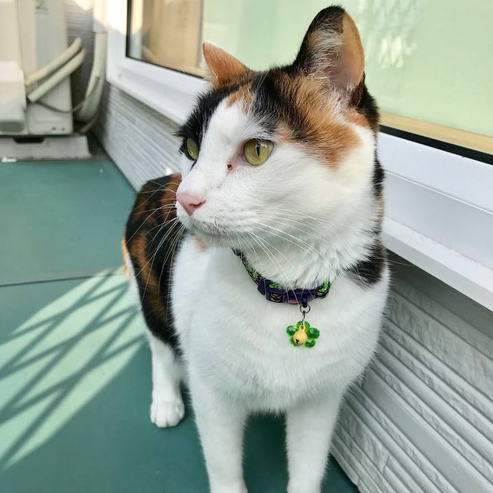 1f7e4a3f c99d 4fb3 ac7b 0f05ccd52df8 1510186482787