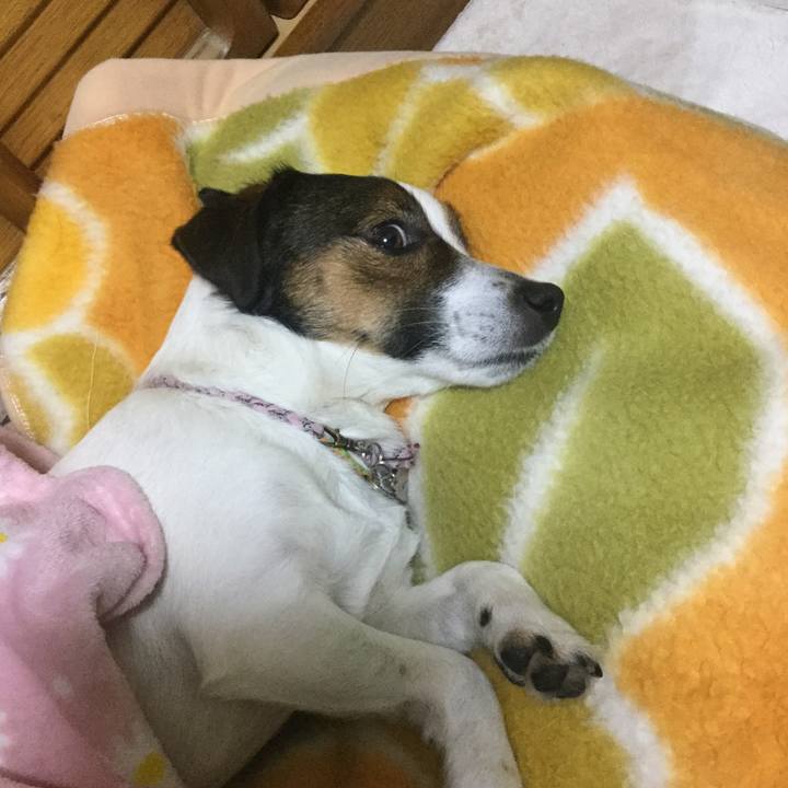 1f7e7d5e 1158 4e23 ab68 0ca3af779eb8 1549280820550