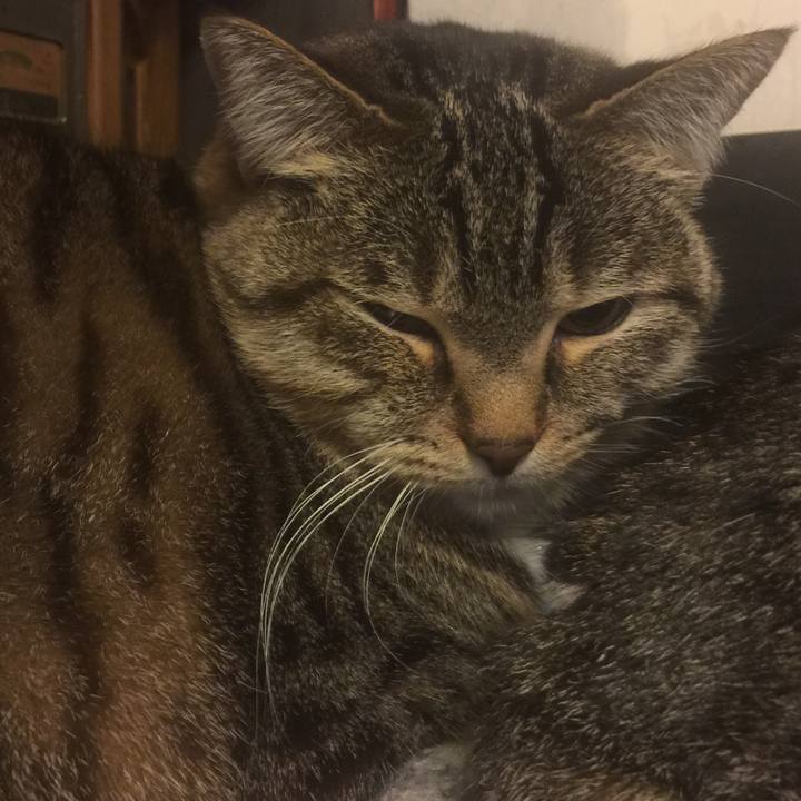 1f7e80cd 6545 4406 bbbc 8c0b16aa02aa 1549811916887