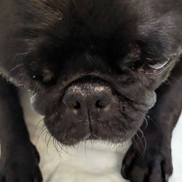 1f7ec3f5 f848 477c a555 7172019e294c 1752836692079