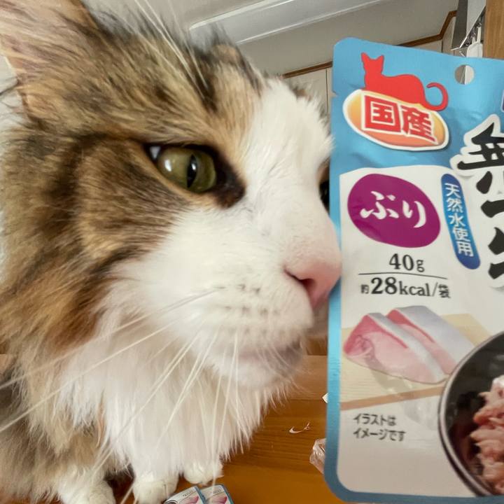 1f7ece30 1e6a 4fc0 b5c1 6ad98ea571ce 1682820968160