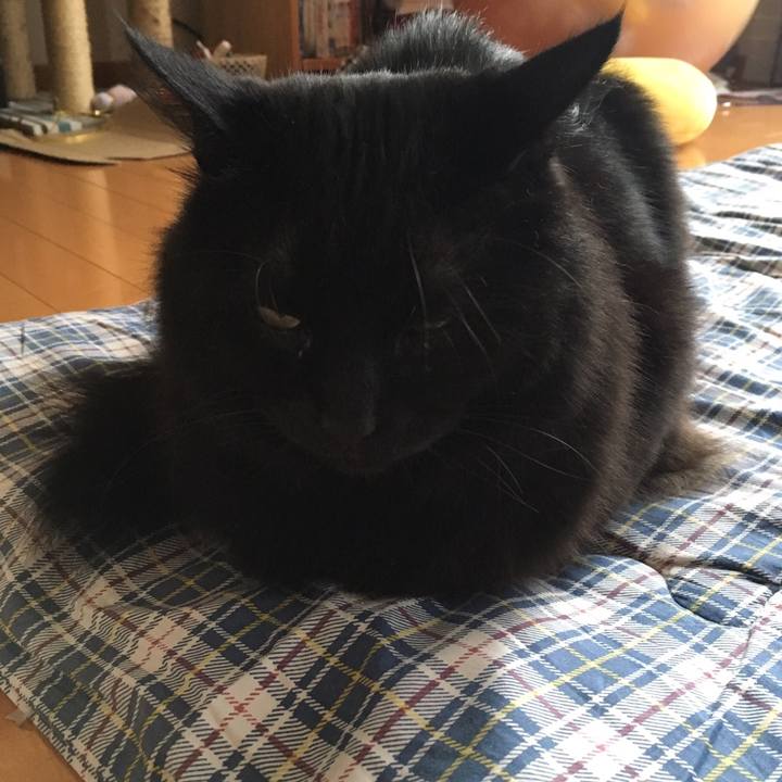 1f7ed607 c0ad 43d2 8a12 b365d71b8a68 1508460434222