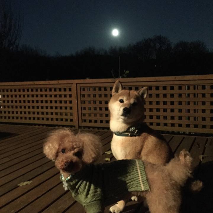 1f7eee40 8383 495d 9129 feddf0c9a576 1512290629288