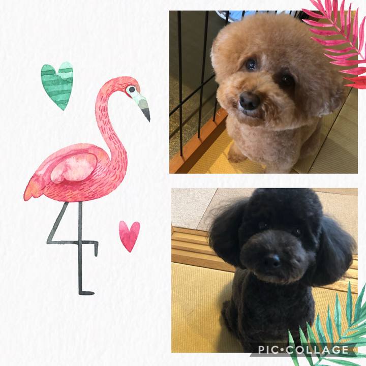 1f7f0329 839a 4615 b28f c82b04b5e5b3 1596798757869