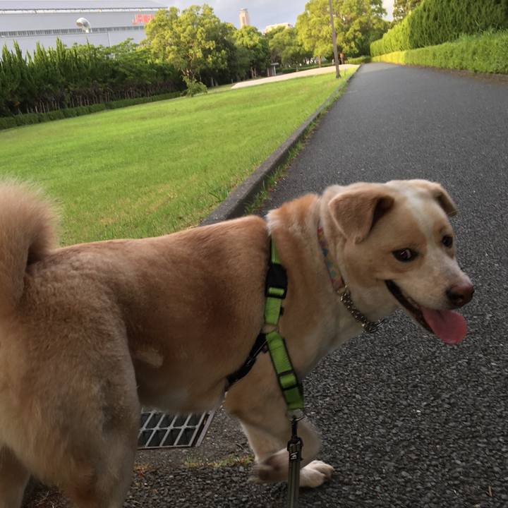 1f7f23df 2649 48e2 8cf2 f5bb81a2c258 1527331818101