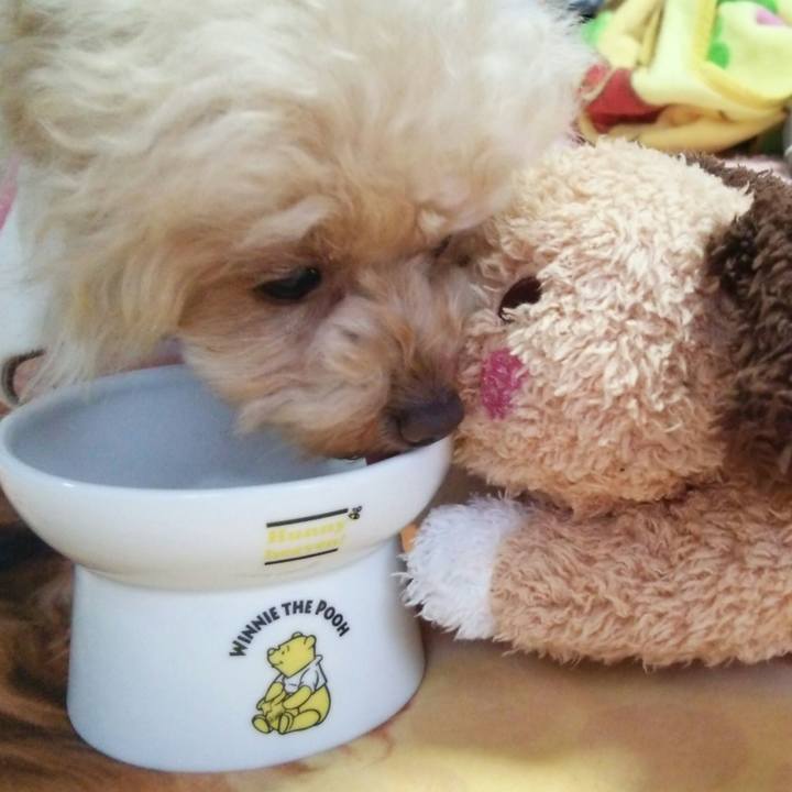 1f7f2f59 be19 4960 b1a8 e727ff1cdab5 1550189693555