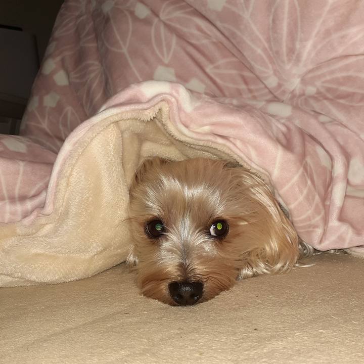 1f7f382c 1f06 4d60 80c2 7a98d2d39297 1605528753994